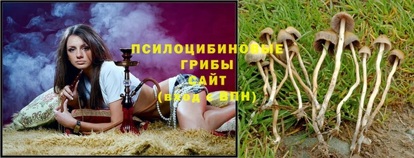 тгк Переславль-Залесский