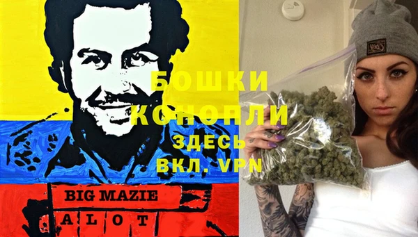 дмт Пересвет
