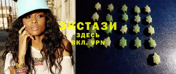 дмт Пересвет