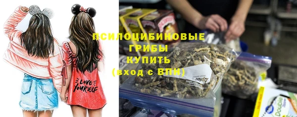ГАЛЛЮЦИНОГЕННЫЕ ГРИБЫ Инсар