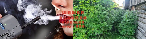 дмт Пересвет